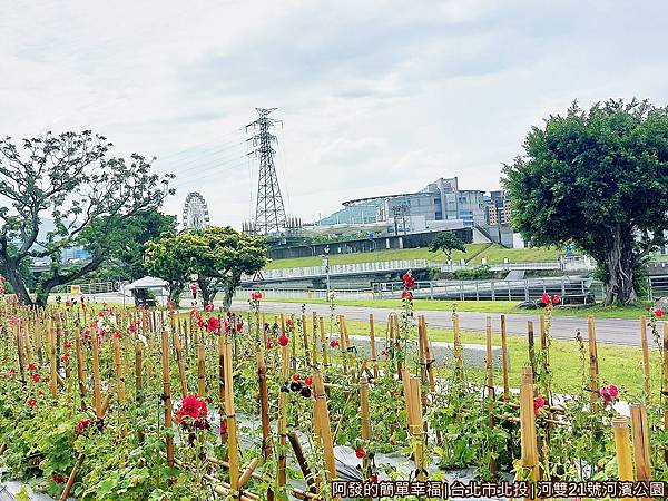 河雙21號河濱公園09-蜀葵花之森往兒童新樂園方向視角.jpg