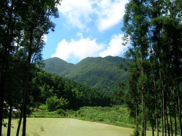 圓山鄉雙連埤