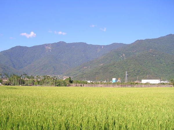 台東之旅