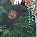 DSC_0172.JPG