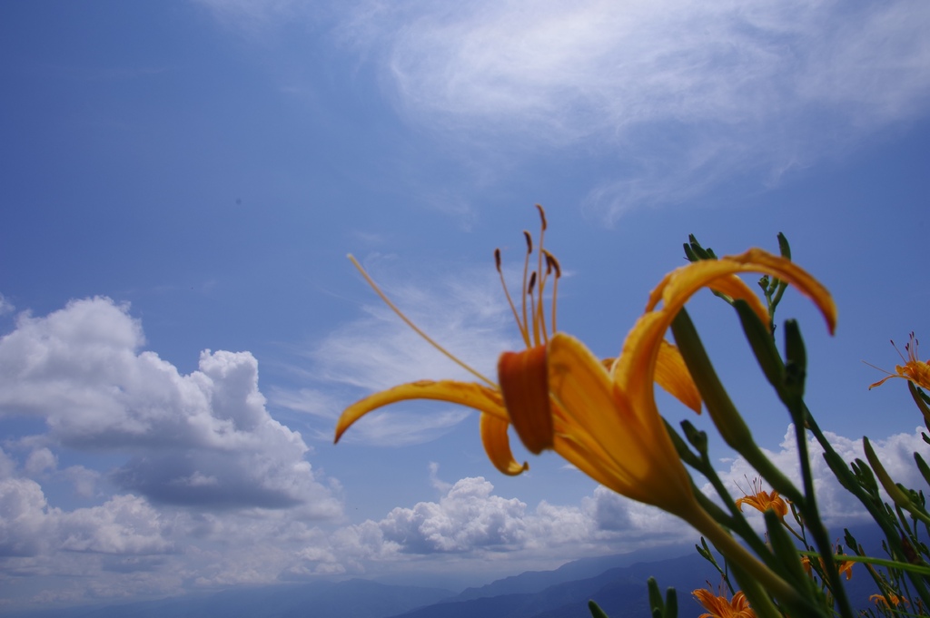 IMGP2776.jpg IMGP2776.jpg