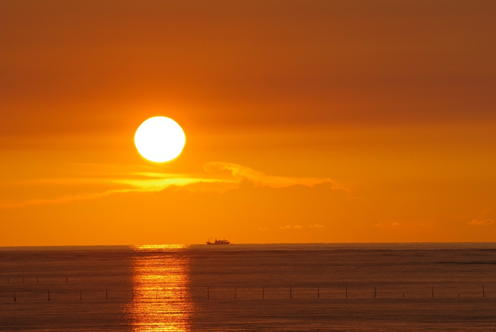 #台中景點 #高美濕地 #台灣包車