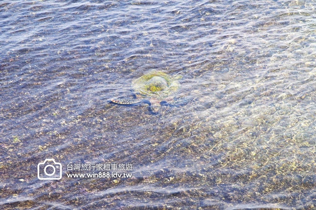 2023 0922 感謝張先生一行貴賓，常來台灣旅行，第一天