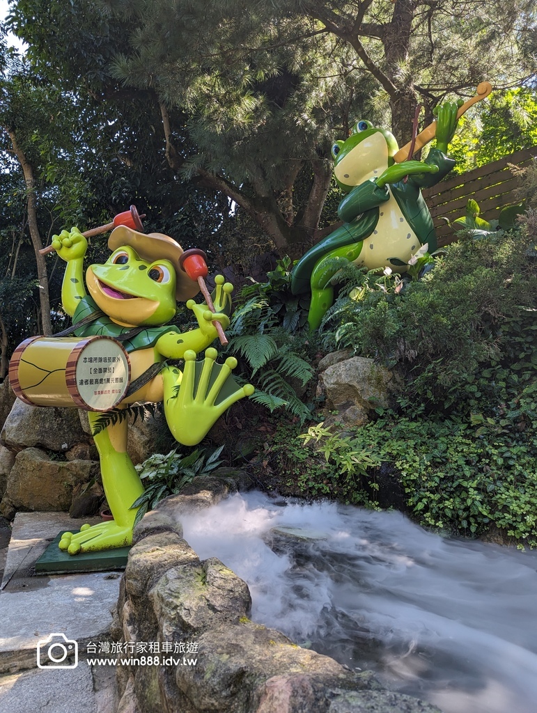 2023 1105  今日参观精油农场，午餐田园有机餐，鲤鱼