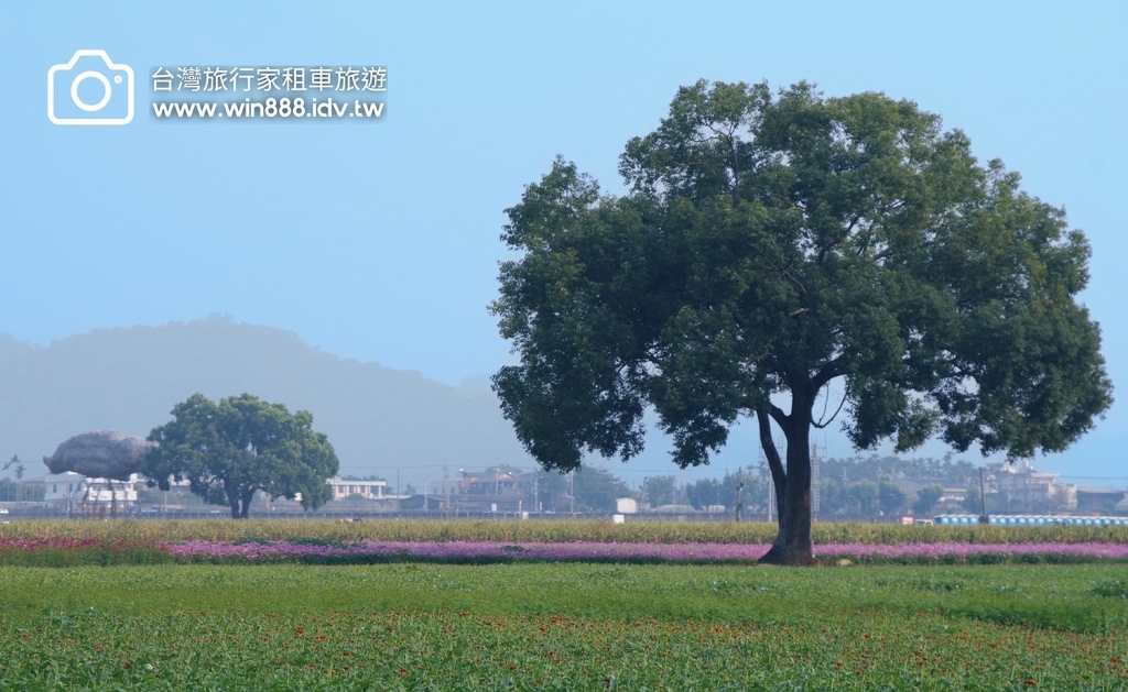 2023 1109 台中国际花毯节抢先看，展示期间11/11