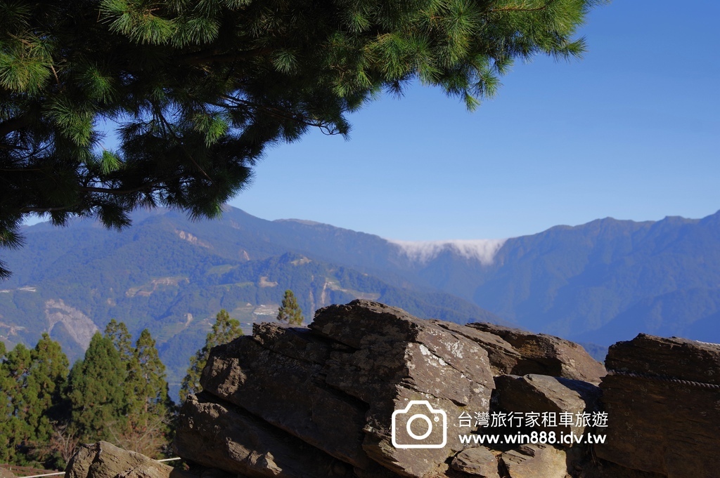 秋枫，棉羊，叠叠山峦，清境農場。