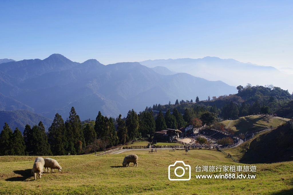 秋枫，棉羊，叠叠山峦，清境農場。