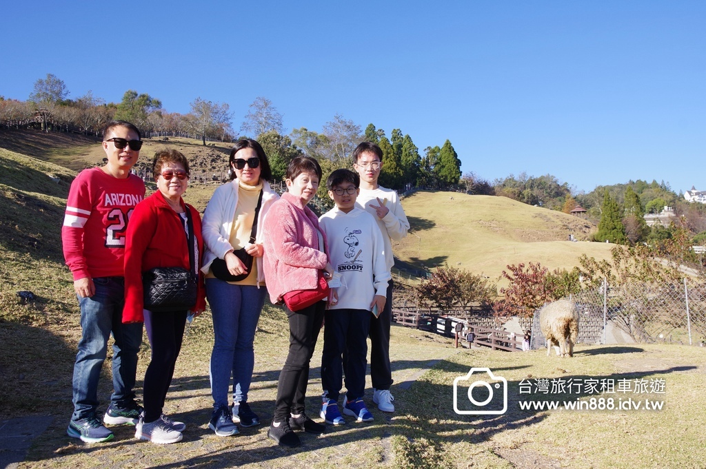 秋枫，棉羊，叠叠山峦，清境農場。