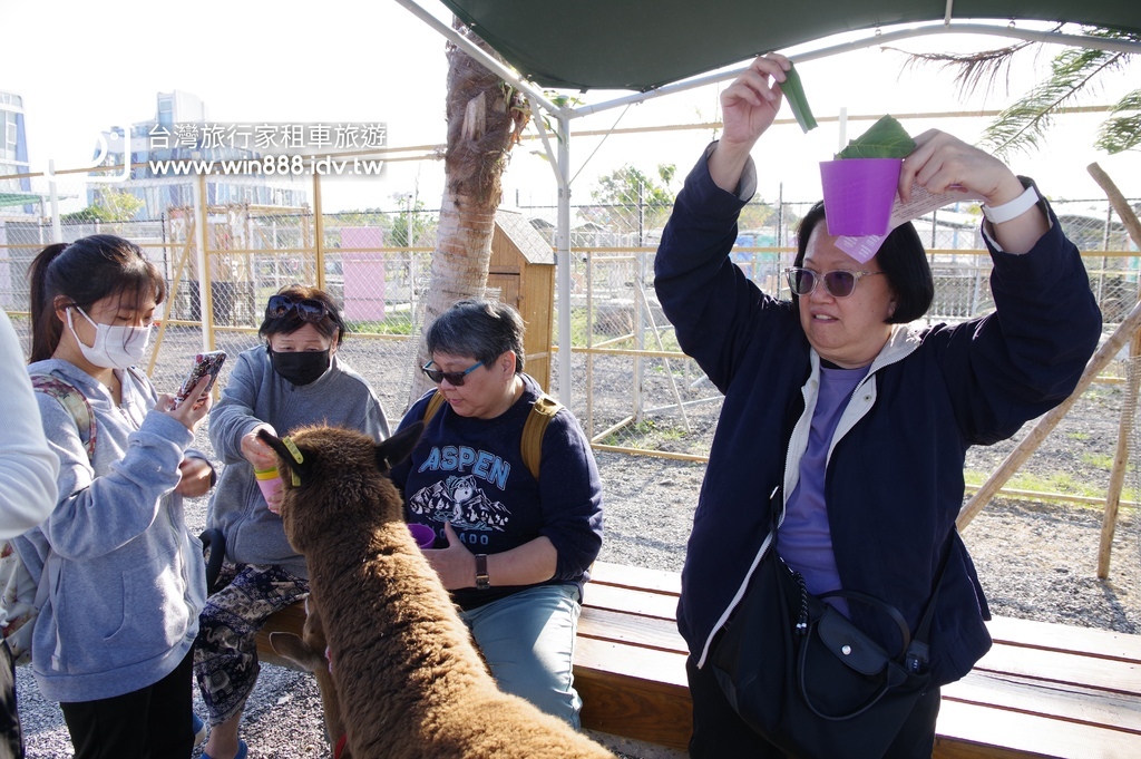 2024 0106 宜兰轻鬆走走，喝下午茶，Capybara