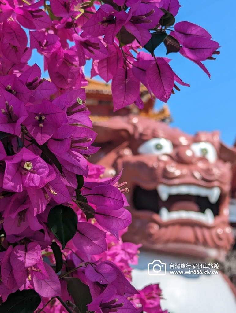 2024 0129 出遊第一天，冬陽乍現，舒服極了。向山遊客