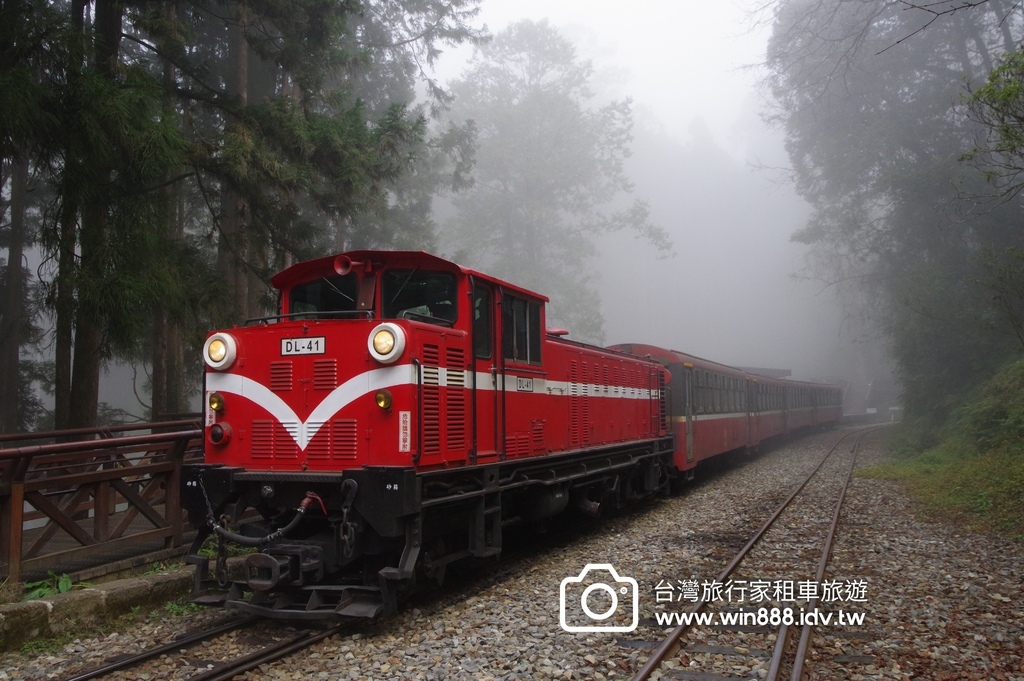 2024 0131 今天阿里山遼濶雲海不停放送中。