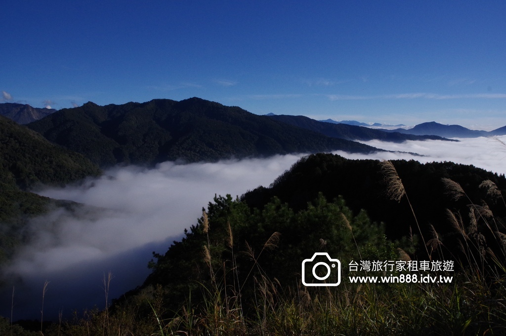 2024 0131 今天阿里山遼濶雲海不停放送中。