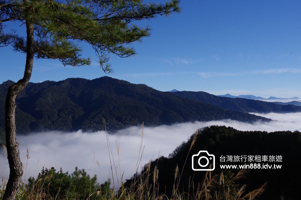 2024 0131 今天阿里山遼濶雲海不停放送中。