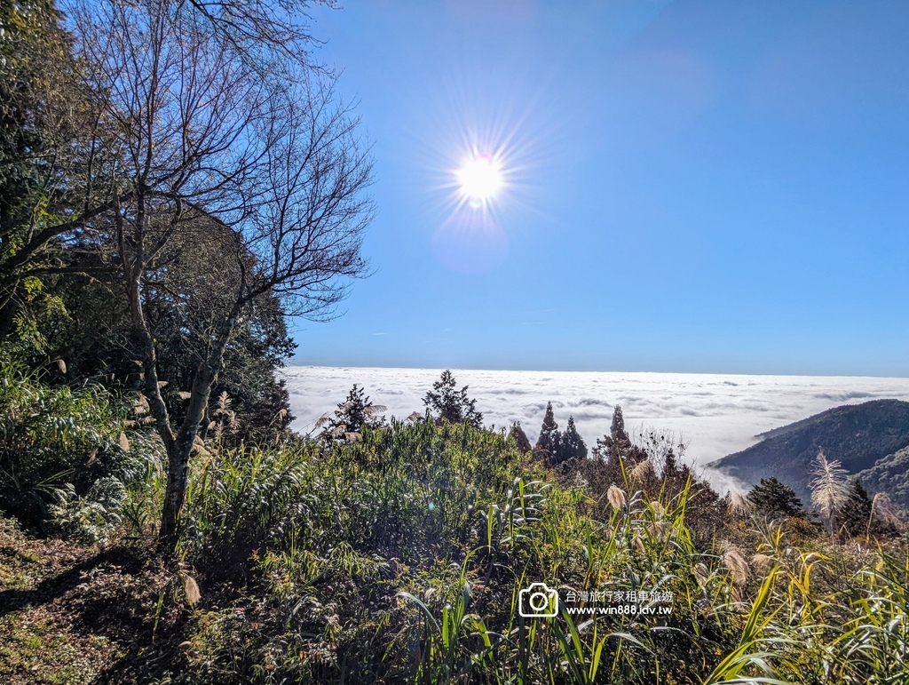 2024 0131 今天阿里山遼濶雲海不停放送中。