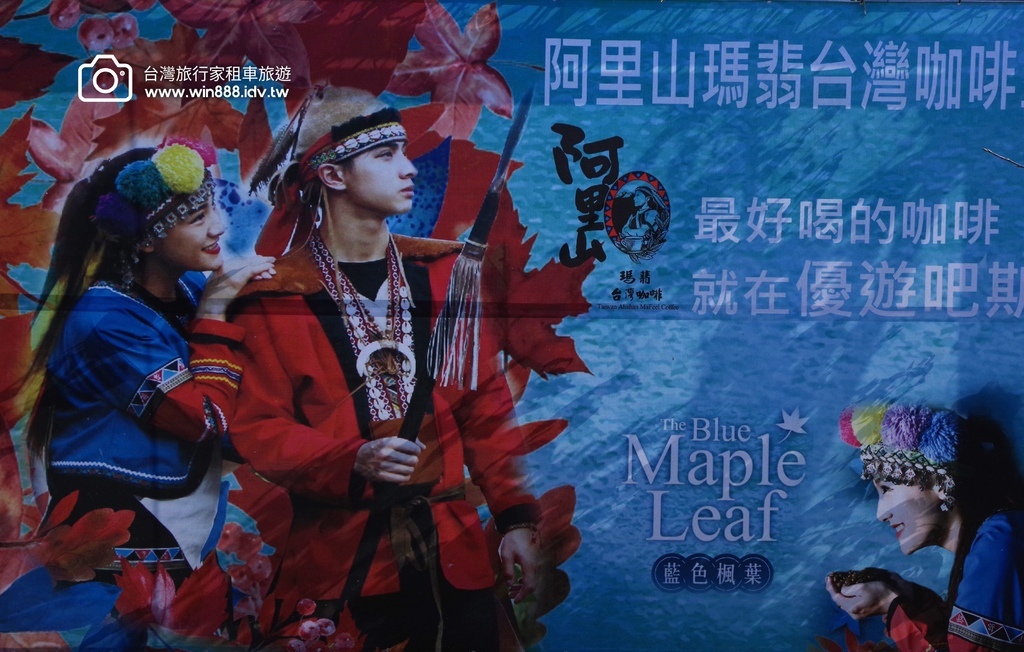 2024 0201 D5 阿里山鄒族村，喝阿里山茶，品蜜處理