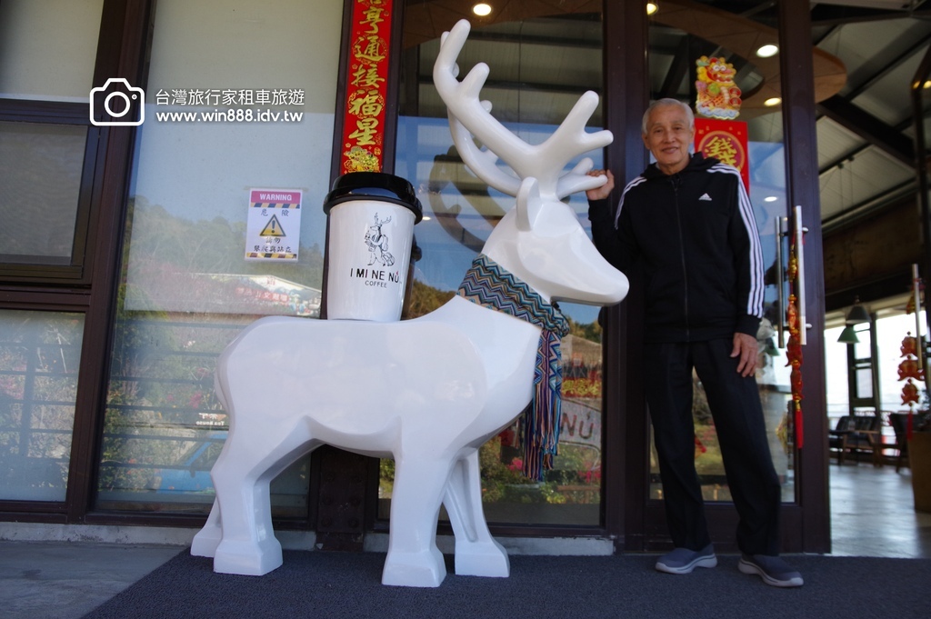 2024 0201 D5 阿里山鄒族村，喝阿里山茶，品蜜處理