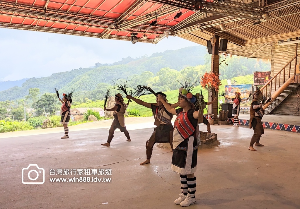 2024 0201 D5 阿里山鄒族村，喝阿里山茶，品蜜處理