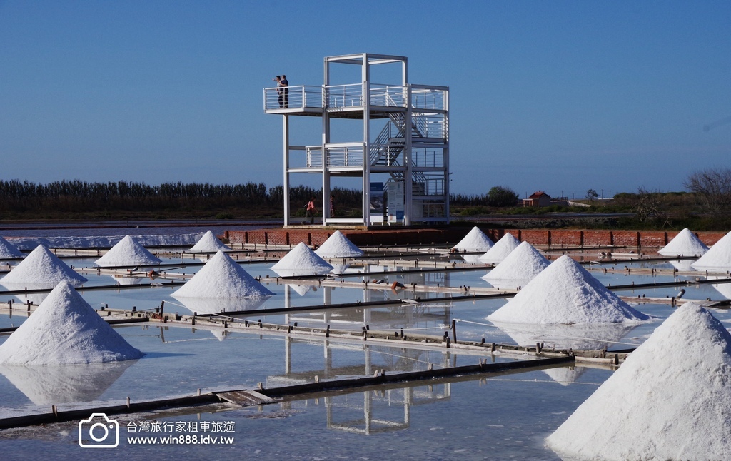 2024 0201 D5 阿里山鄒族村，喝阿里山茶，品蜜處理