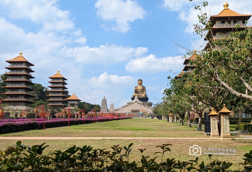 2024 0202 D6 仙人掌花，佛陀紀念館，旗後砲塔，星