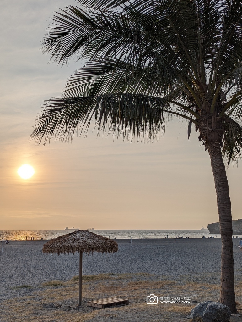 2024 0202 D6 仙人掌花，佛陀紀念館，旗後砲塔，星