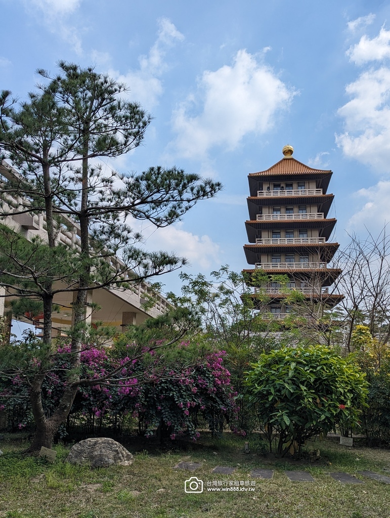 2024 0202 D6 仙人掌花，佛陀紀念館，旗後砲塔，星