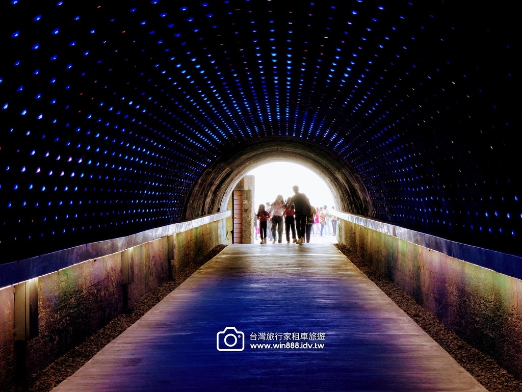 2024 0202 D6 仙人掌花，佛陀紀念館，旗後砲塔，星