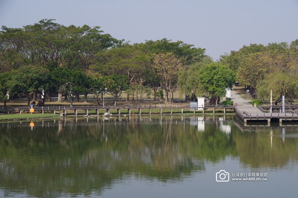 2024 0202 D6 仙人掌花，佛陀紀念館，旗後砲塔，星