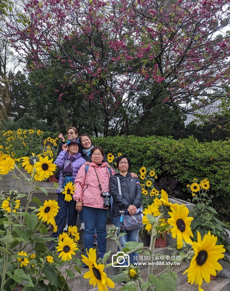 2024 0217 陽明山一日遊，花鐘，竹子湖，小油坑，冷水