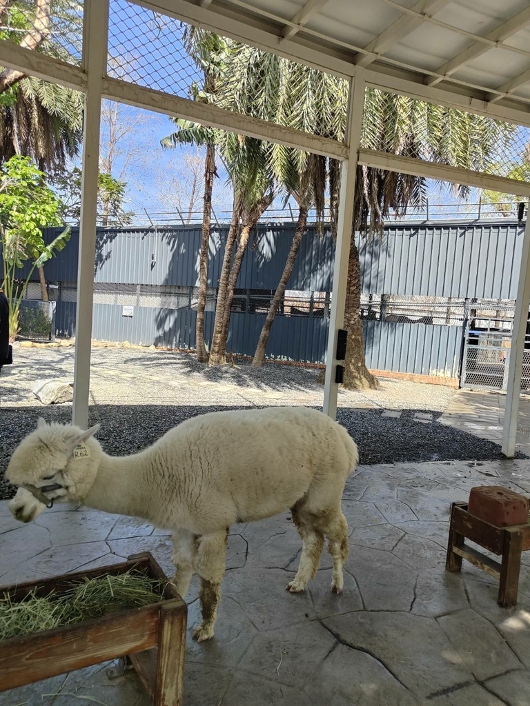 2024 0324 謝謝袁小姐與家人高雄旅遊，我們這裡都是全