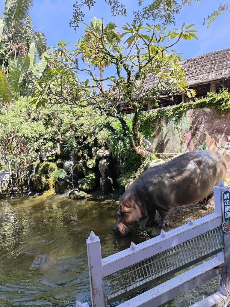 2024 0324 謝謝袁小姐與家人高雄旅遊，我們這裡都是全