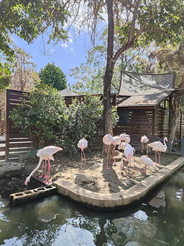 2024 0324 謝謝袁小姐與家人高雄旅遊，我們這裡都是全