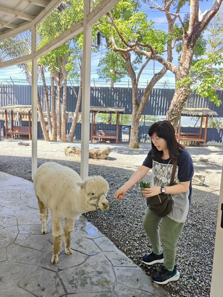 2024 0324 謝謝袁小姐與家人高雄旅遊，我們這裡都是全