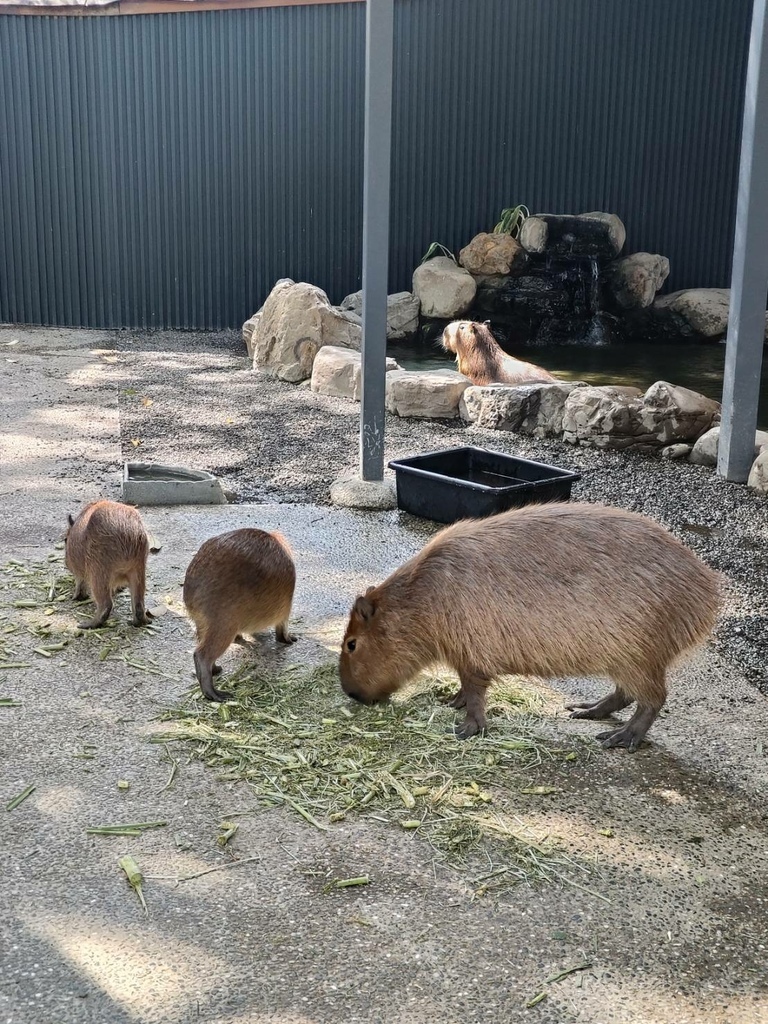 2024 0324 謝謝袁小姐與家人高雄旅遊，我們這裡都是全