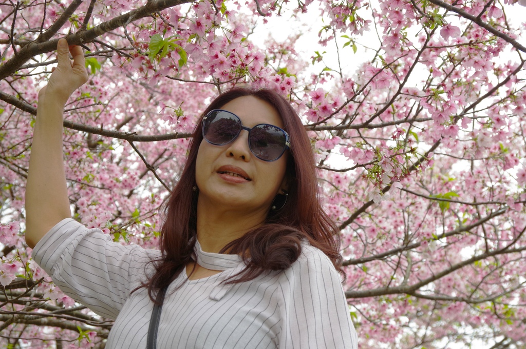 2024 0329 陽明山國家公園，竹子湖海芋，大草原，淡水