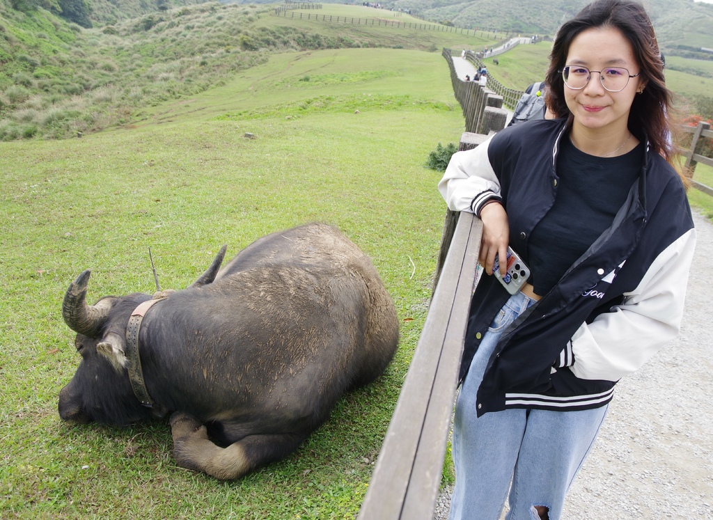 2024 0329 陽明山國家公園，竹子湖海芋，大草原，淡水