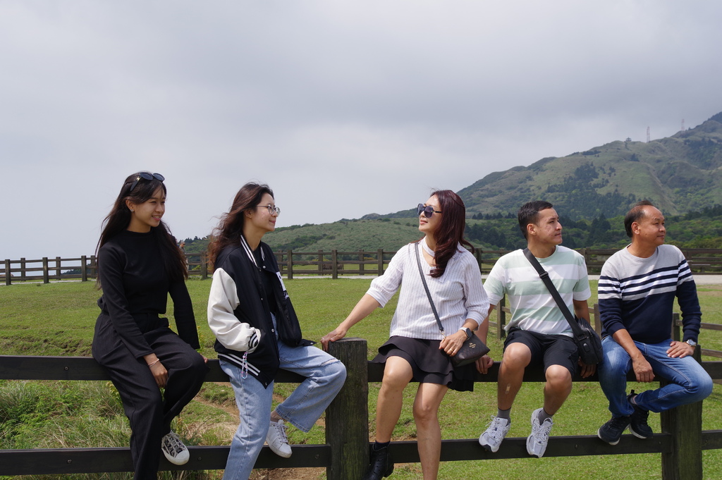 2024 0329 陽明山國家公園，竹子湖海芋，大草原，淡水