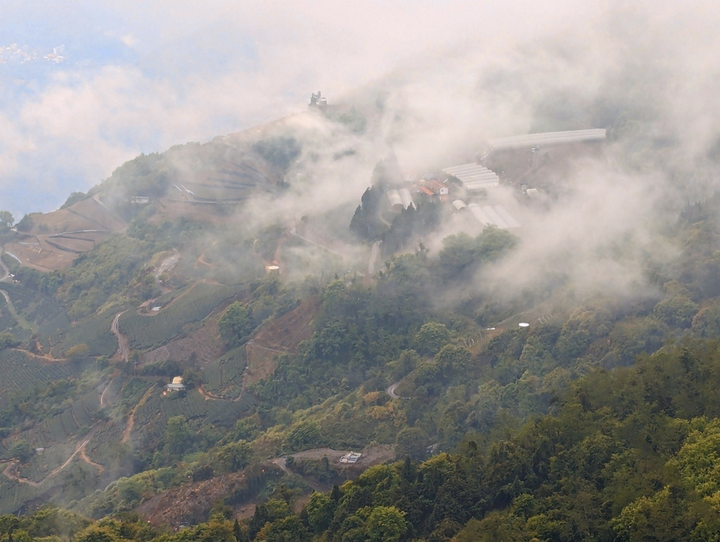 2024 0408 下著小雨的4月天，台中到清境遊，吃吃喝喝