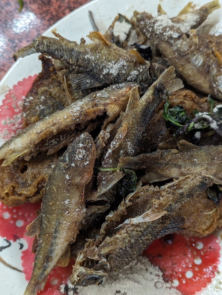 2024 0409 Billy父子台中到苗栗探訪親友，客家料