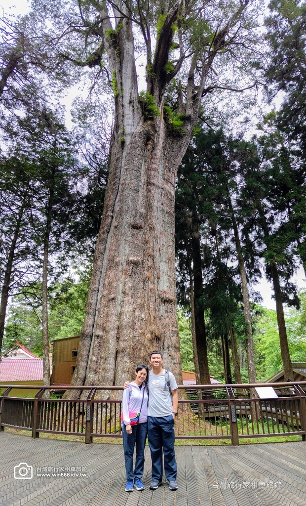 2024 0512 Tony哥家族，涼涼的氣溫，穿梭於千年巨