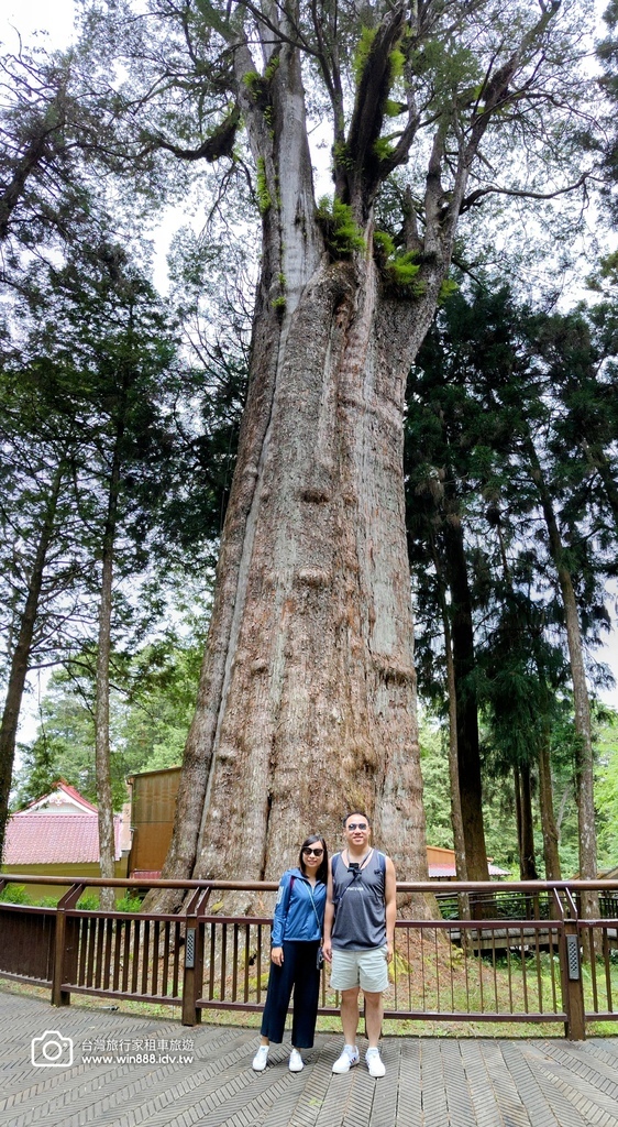 2024 0512 Tony哥家族，涼涼的氣溫，穿梭於千年巨