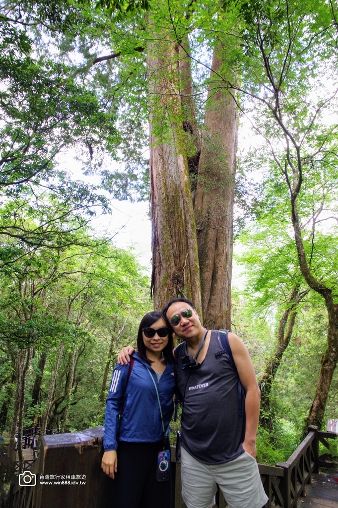 2024 0512 Tony哥家族，涼涼的氣溫，穿梭於千年巨