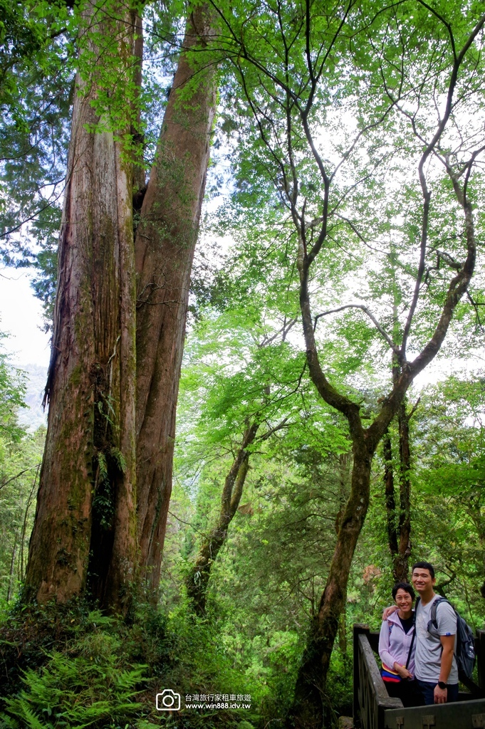 2024 0512 Tony哥家族，涼涼的氣溫，穿梭於千年巨