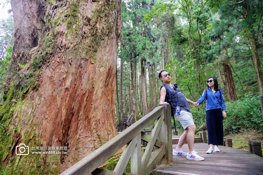 2024 0512 Tony哥家族，涼涼的氣溫，穿梭於千年巨