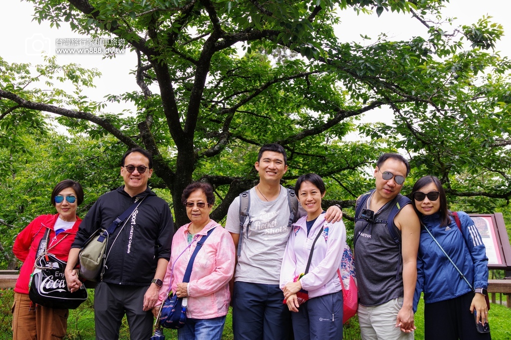 2024 0512 Tony哥家族，涼涼的氣溫，穿梭於千年巨