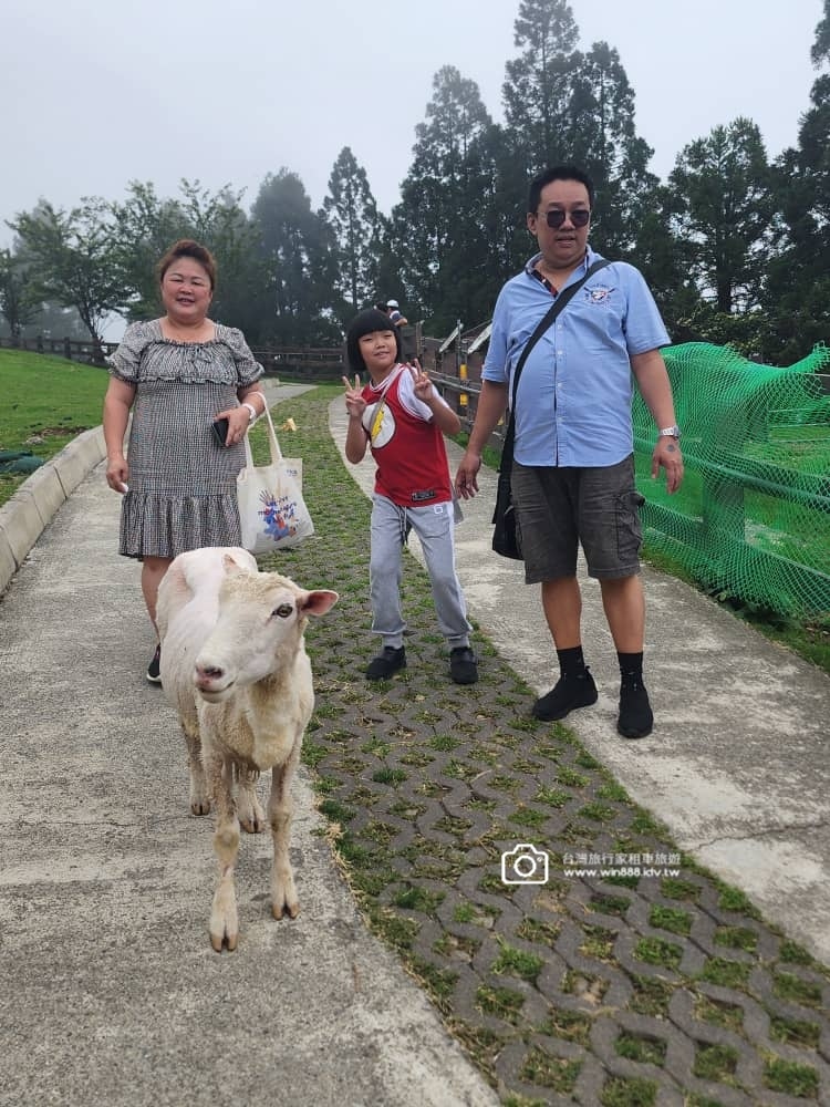 2024 0530 早晨日月潭美景，下午來和羊咩咩玩，晚上入