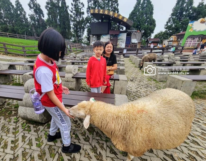 2024 0530 早晨日月潭美景，下午來和羊咩咩玩，晚上入