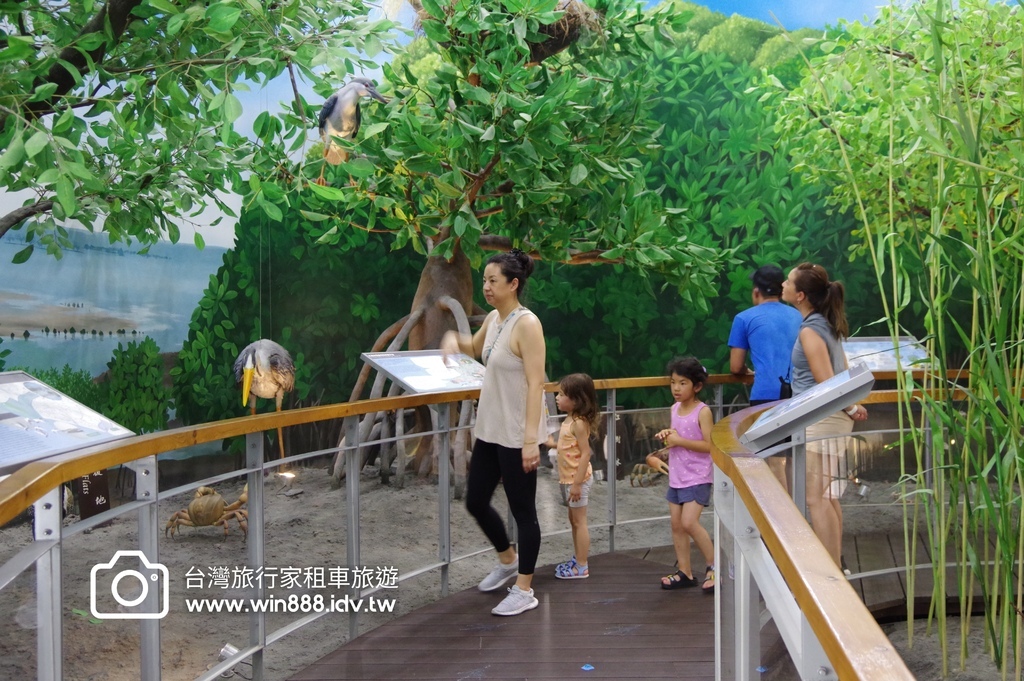 2024 0610 第三日阿里山到台南，袖珍版亞馬遜河，四草