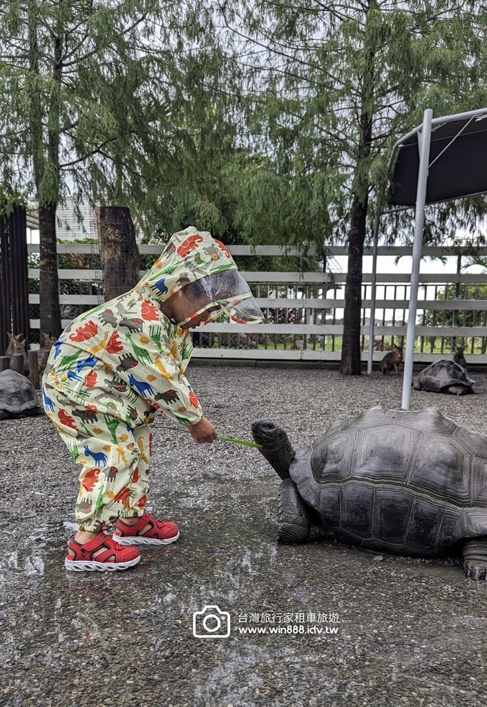 2024 1022 宜蘭親子旅遊，小動物餵食，拔蔥做蔥餅。