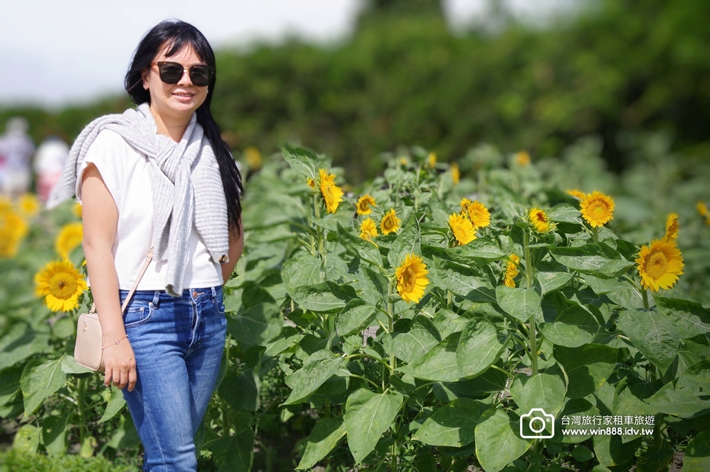 2024 1023 今天來到台中親子遊，賞花看日落