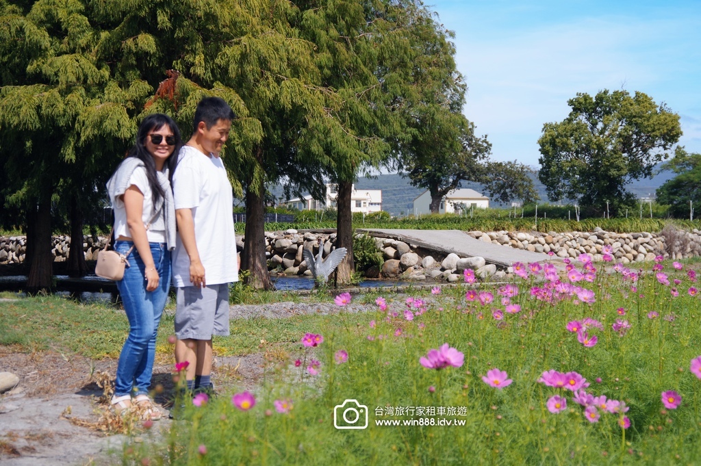 2024 1023 今天來到台中親子遊，賞花看日落